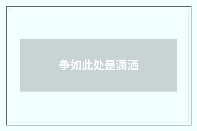 争如此处是潇洒