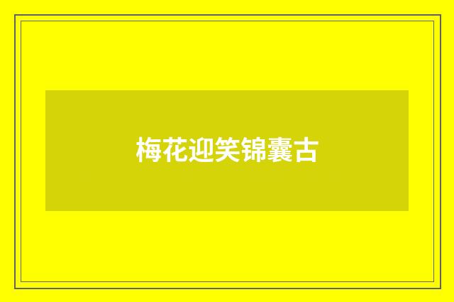 梅花迎笑锦囊古