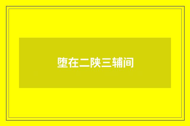 堕在二陕三辅间