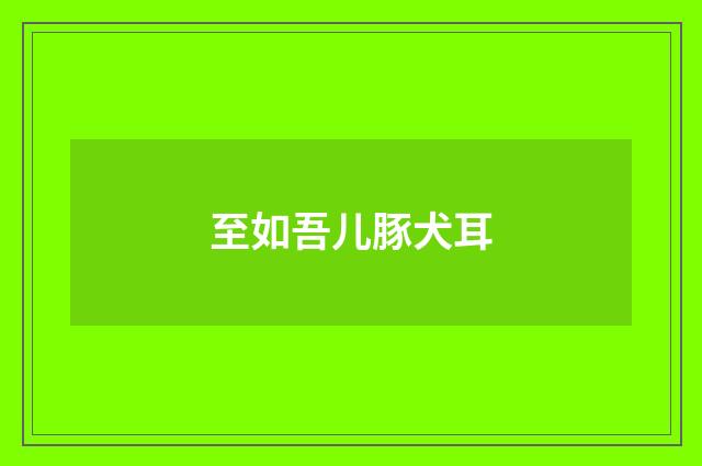 至如吾儿豚犬耳