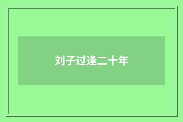 刘子过逢二十年
