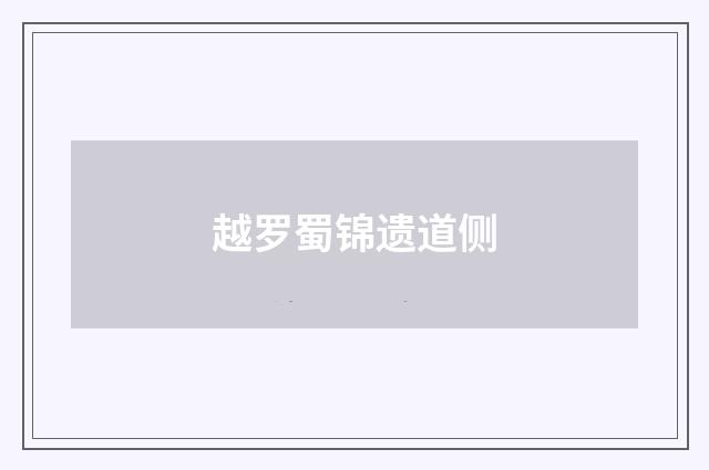 越罗蜀锦遗道侧