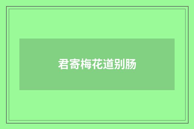 君寄梅花道别肠