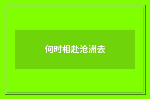 何时相赴沧洲去