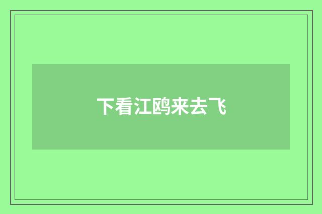 下看江鸥来去飞