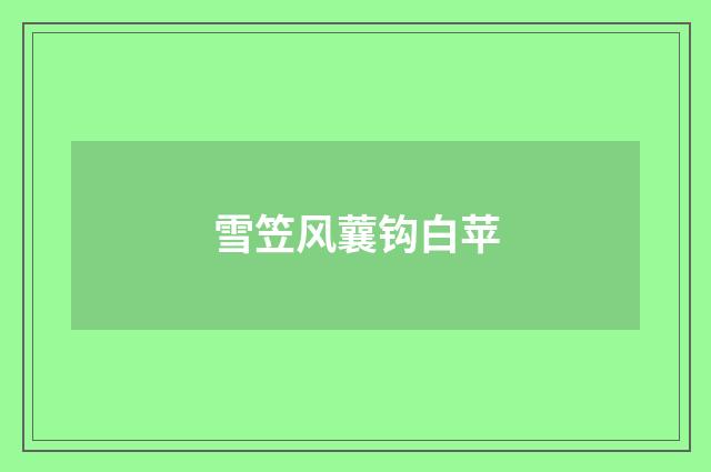 雪笠风蘘钩白苹