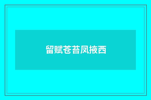 留赋苍苔凤掖西