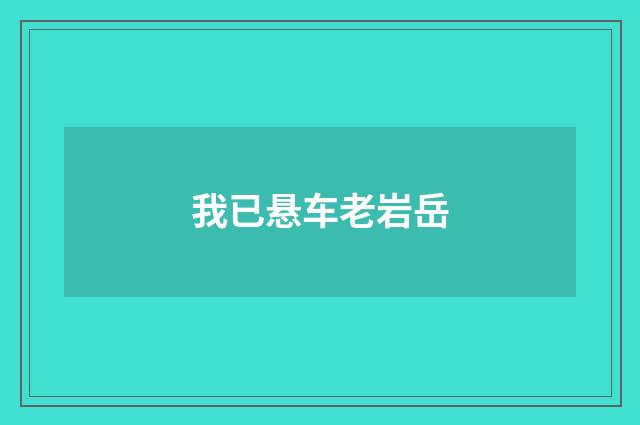 我已悬车老岩岳