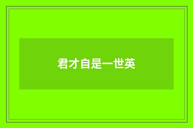 君才自是一世英