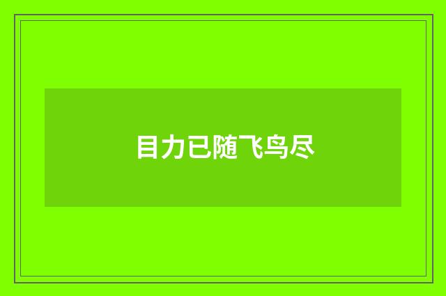目力已随飞鸟尽