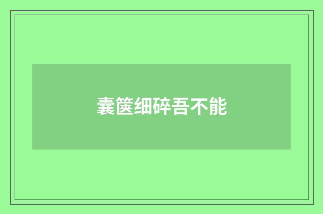 囊箧细碎吾不能
