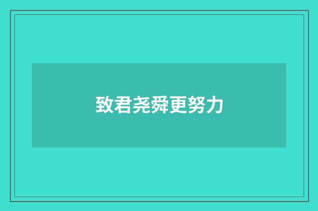 致君尧舜更努力