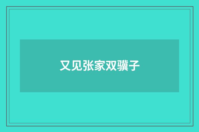 又见张家双骥子