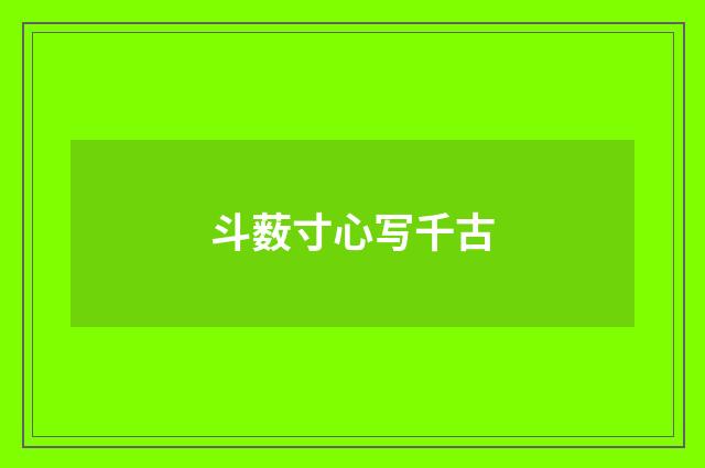 斗薮寸心写千古