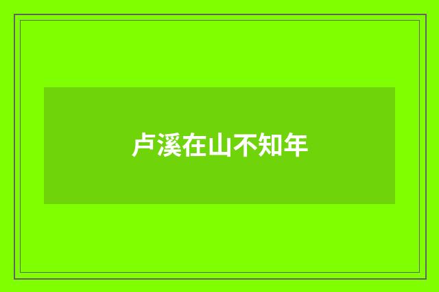 卢溪在山不知年