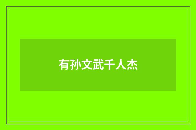有孙文武千人杰