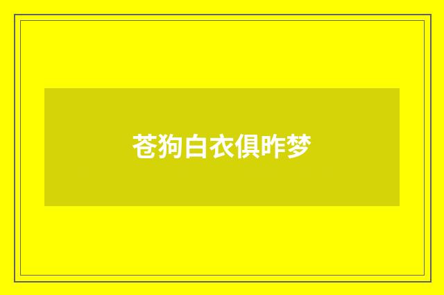 苍狗白衣俱昨梦