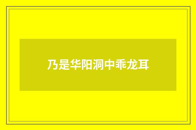 乃是华阳洞中乖龙耳