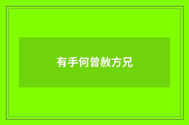 有手何曾赦方兄