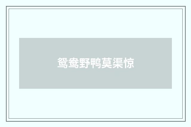 鸳鸯野鸭莫渠惊
