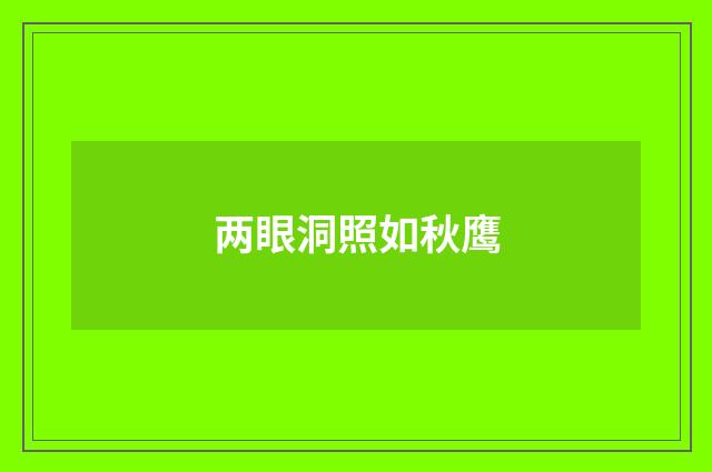 两眼洞照如秋鹰