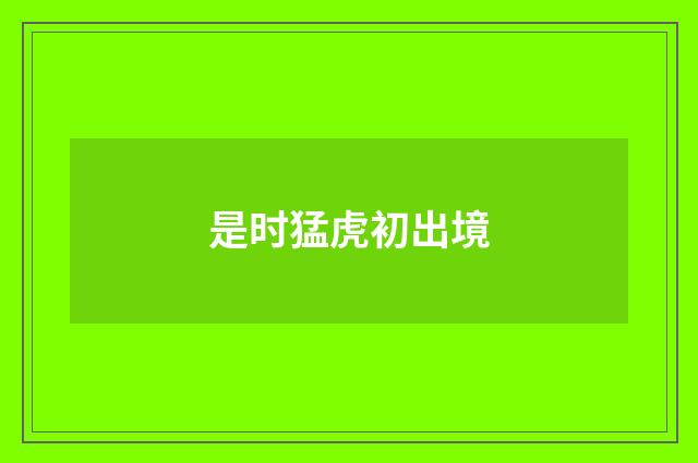 是时猛虎初出境