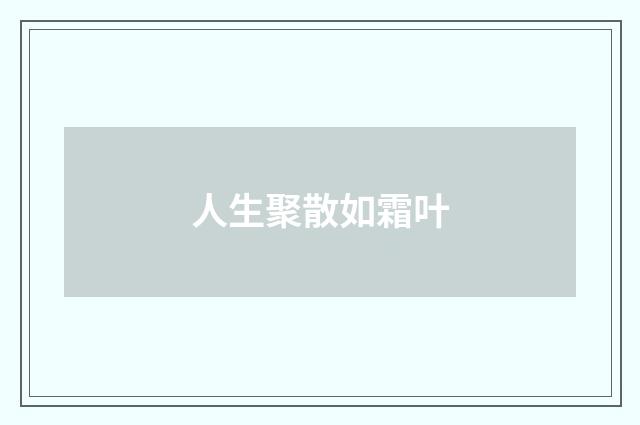 人生聚散如霜叶