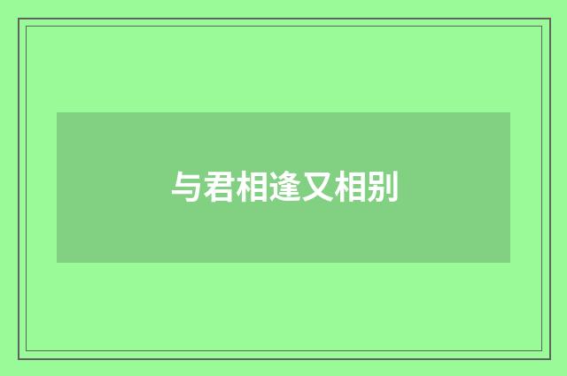 与君相逢又相别