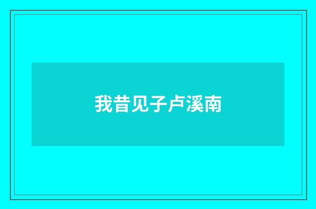 我昔见子卢溪南