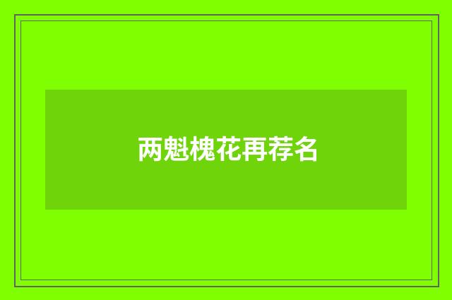 两魁槐花再荐名