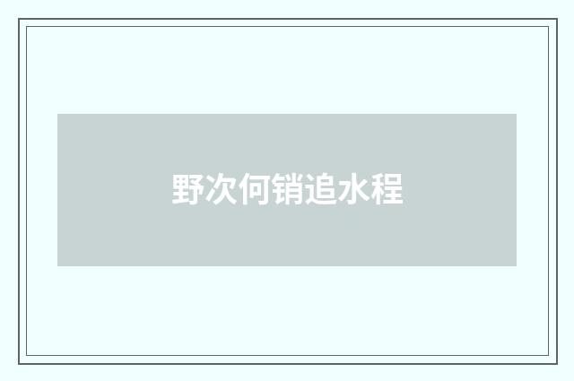 野次何销追水程
