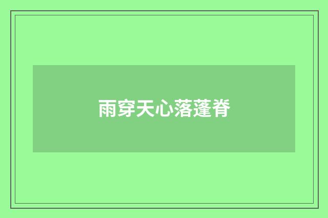 雨穿天心落蓬脊
