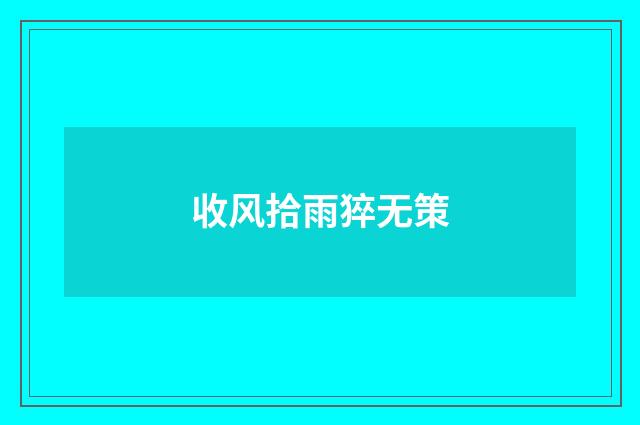 收风拾雨猝无策
