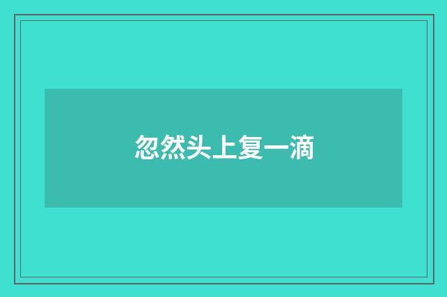 忽然头上复一滴
