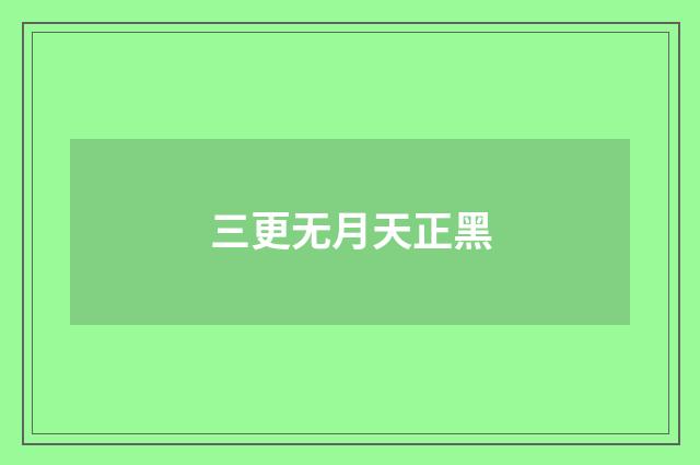 三更无月天正黑