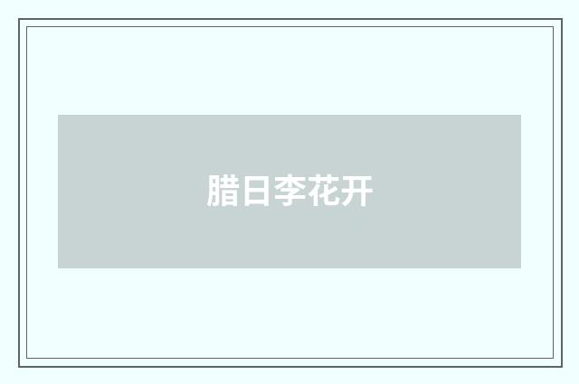 腊日李花开