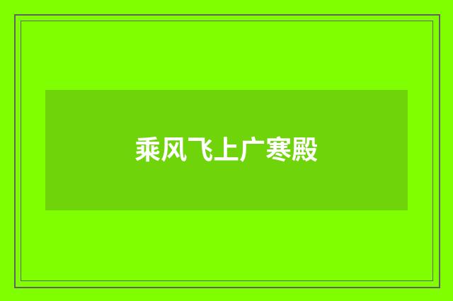 乘风飞上广寒殿