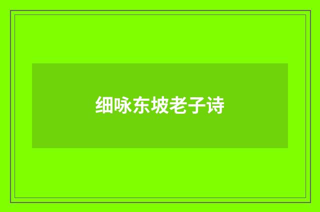 细咏东坡老子诗