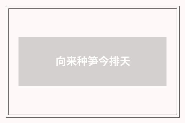 向来种笋今排天