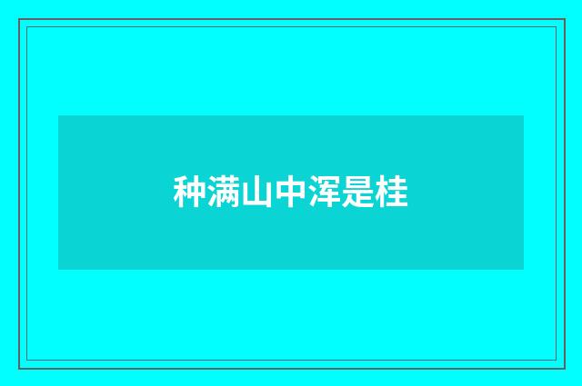 种满山中浑是桂