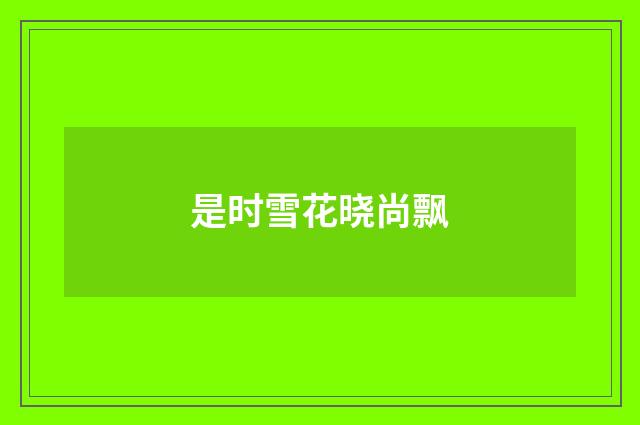是时雪花晓尚飘