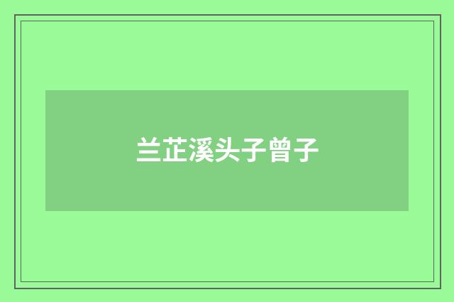 兰芷溪头子曾子