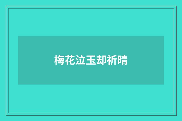 梅花泣玉却祈晴