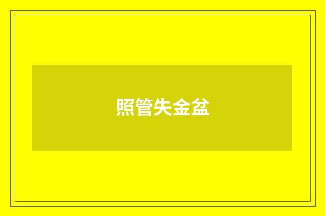照管失金盆