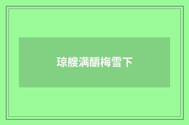 琼艘满釂梅雪下