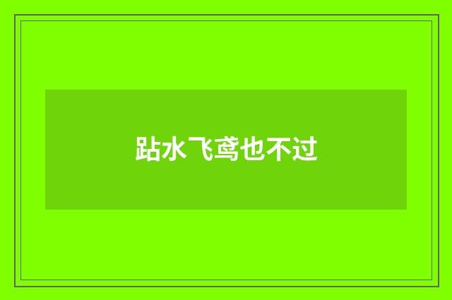 跕水飞鸢也不过