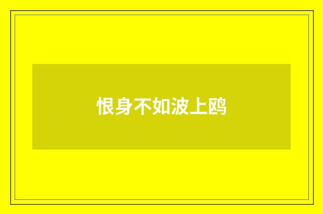 恨身不如波上鸥