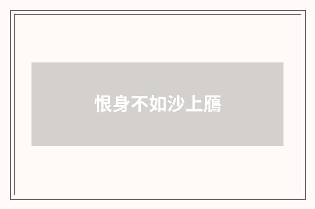 恨身不如沙上鴈