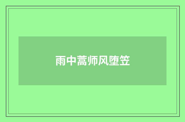 雨中蒿师风堕笠