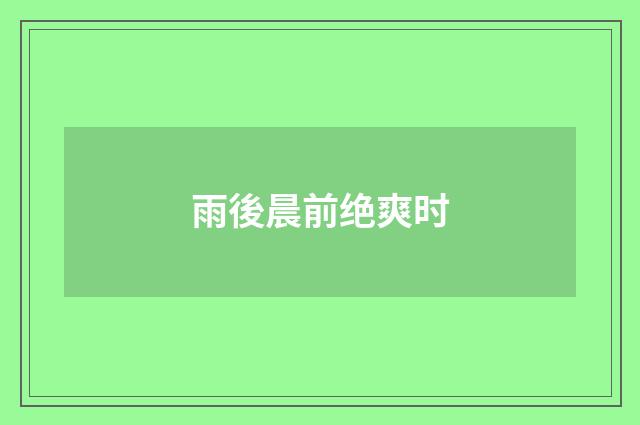 雨後晨前绝爽时